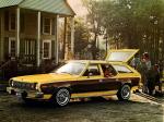 AMC Hornet 4-Door Station Wagon Sportabout D/L Pkg. 1975 года